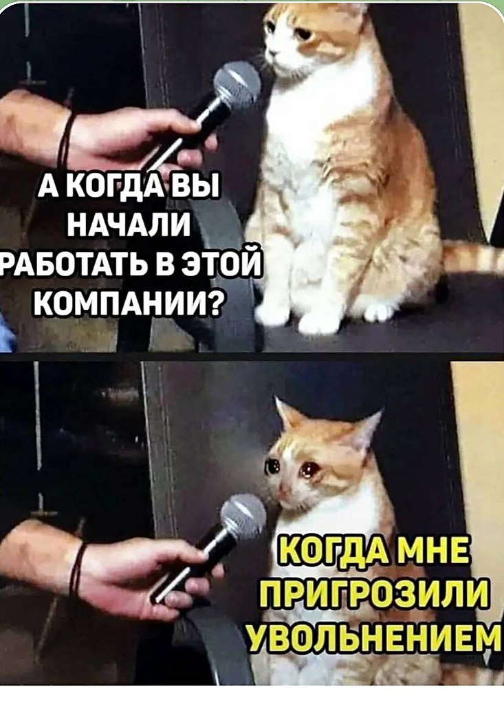 ОБО ВСЕМ - 19 октября 2025 в 15:48