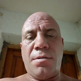 �����, �����, 40 ���