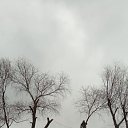 ���� �������, ������, 36 ��� - ��������� 19 ������� 2025 � ������ ���� ����������