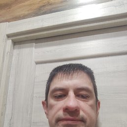, 37, 