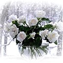 ���� �������, ������ - ��������� 17 ������� 2025 � ������ ������ ��������