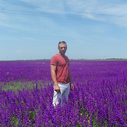 ������, ��������, 45 ���