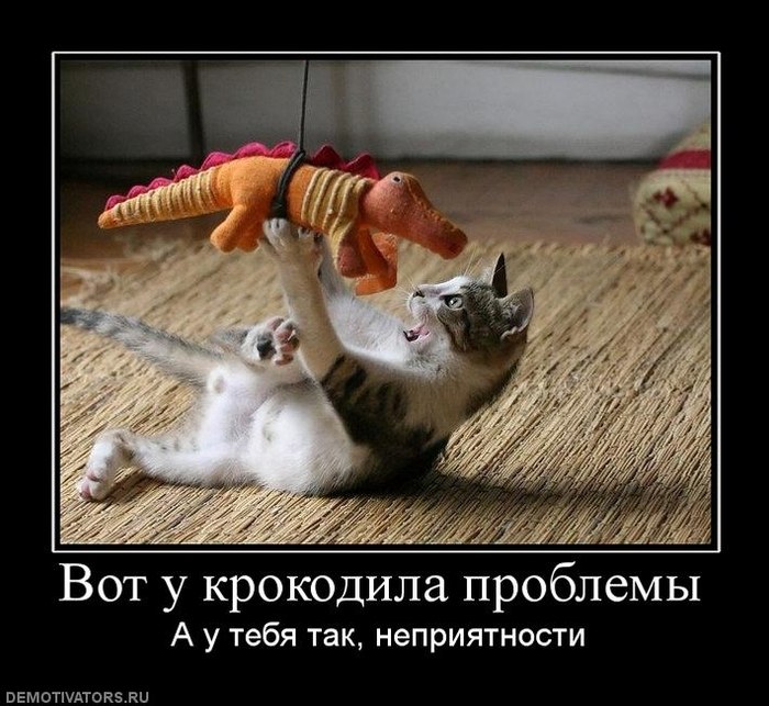 Демотиваторы