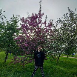 , 19 , -