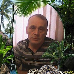 ������, 64 ����, �����������