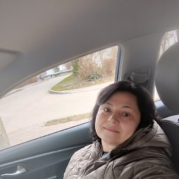 �������, �����������, 54 ����