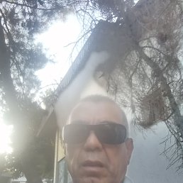, 57, 