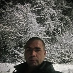 ���� ������, ������, 42 ���� - ��������� 27 ������� 2023