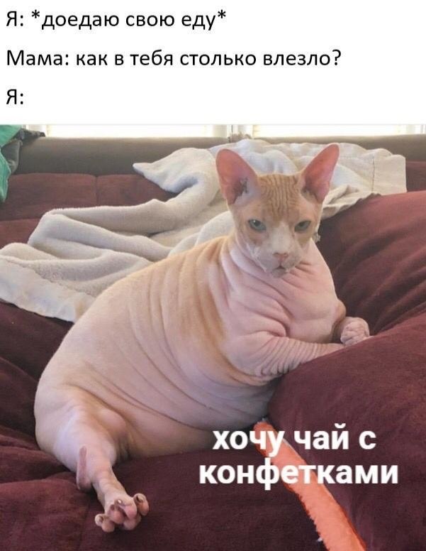    - 20  2024  18:34