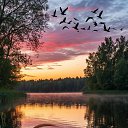 ���� Esenia, ���� - ��������� 2 ���� 2026