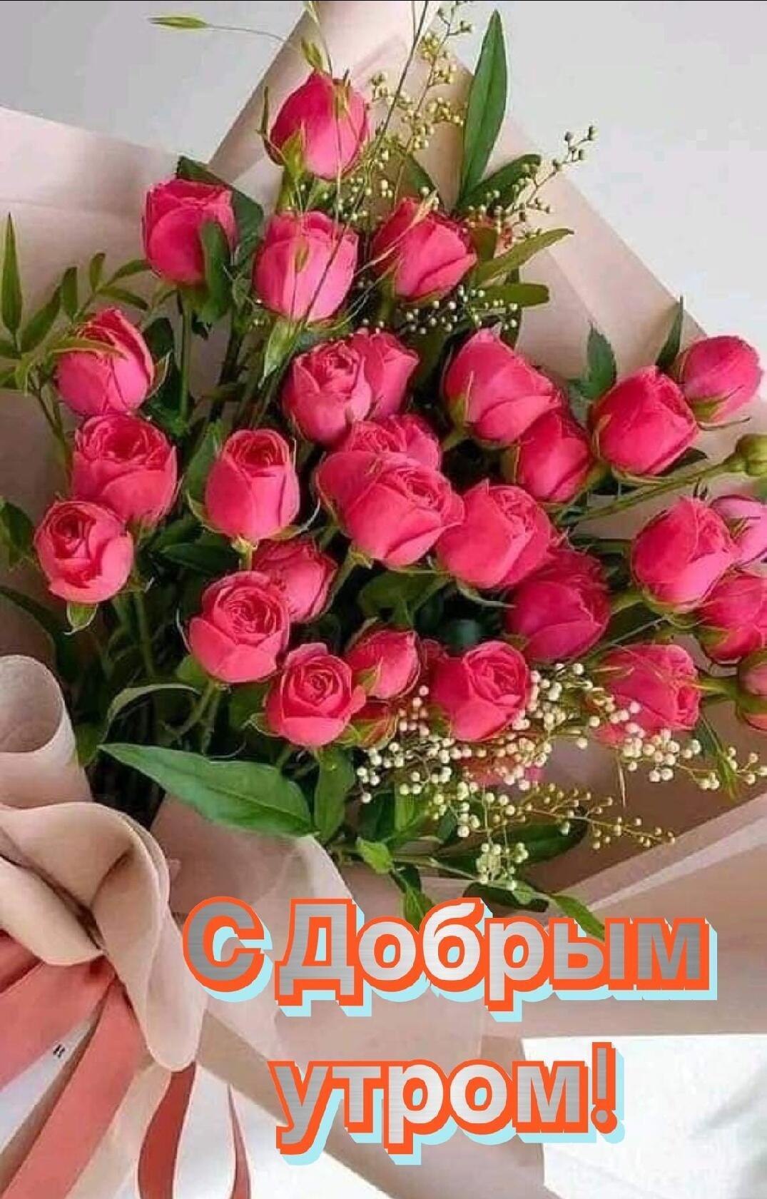  - 6  2023  23:17 - 3