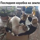 ���� ����, �������, 64 ���� - ��������� 28 ������ 2026 � ������ ���� ����������