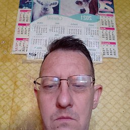 , 41, 