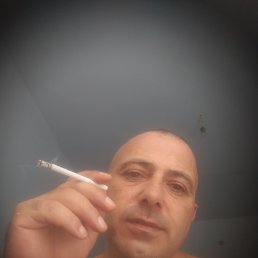 , 40, 