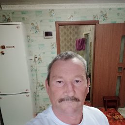 , 56, 