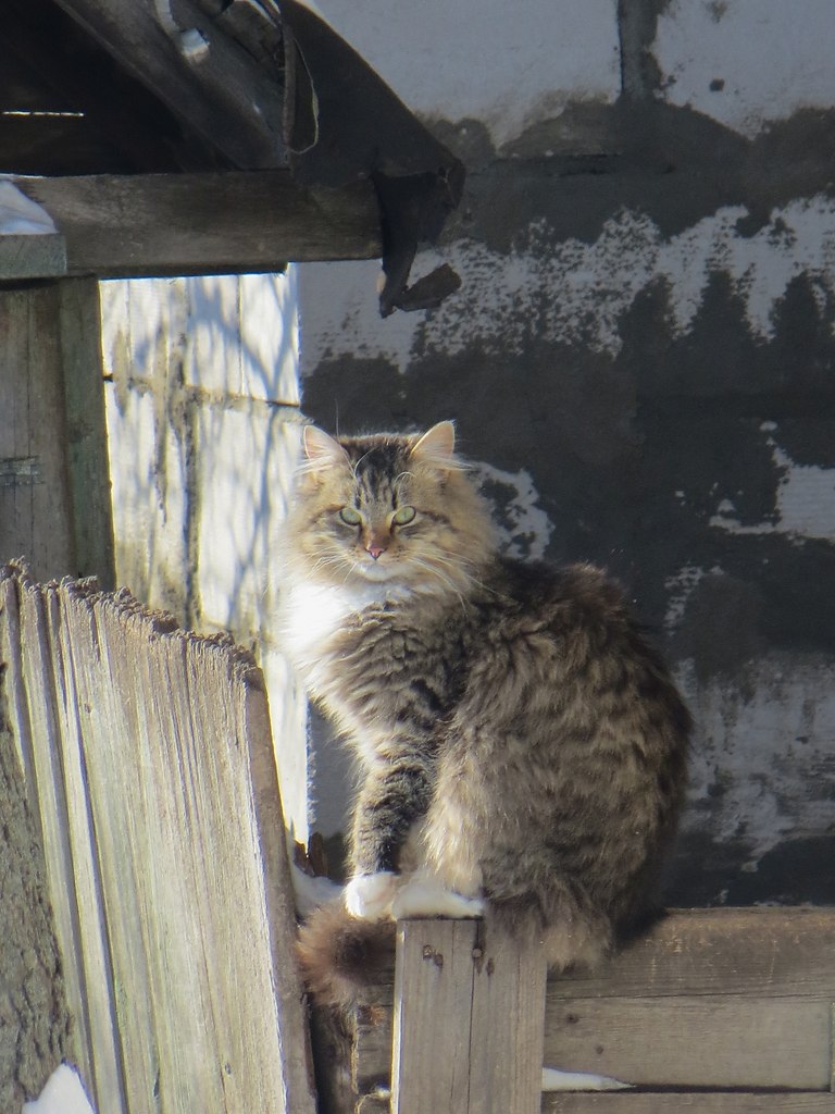 �������� ���������� �� ������ - 5