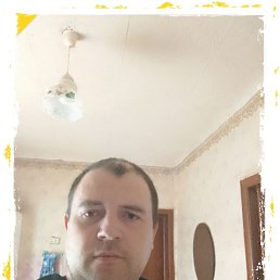 , 39, 