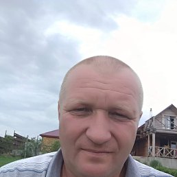  , 51, 