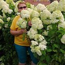 ���� ������� �������, ������, 69 ��� - ��������� 6 ������� 2025 � ������ ���� ����������