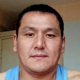 �����, ���������, 41 ���