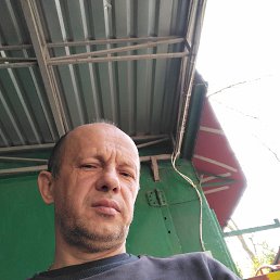 �����, 50 ���, ������