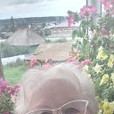 ���� ������, �������-���������, 66 ��� - ��������� 30 ������� 2025 � ������ ���� ����������