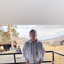 ����, 33 ����, �����������