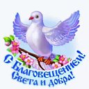 ���� ���������, �������� - ��������� 7 ������ 2026 � ������ ������ ��������