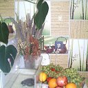 ���� �������, ������� - ��������� 14 ������ 2025 � ������ ������ ��������