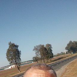  , 41, 