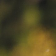 �����, 45 ���, �����