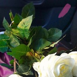 ���� ���, ����, 46 ��� - ��������� 17 ������� 2024