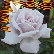 Anna, 38 , 