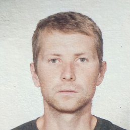 , 29, 