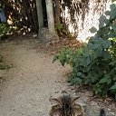 ���� �����, ������, 46 ��� - ��������� 17 ������ 2025 � ������ ������ ��������