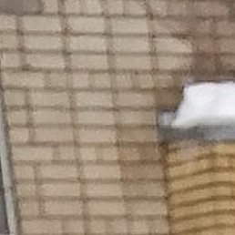 ����, ������, 49 ���