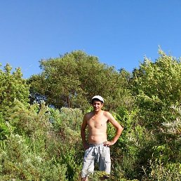 �������, ������, 47 ���