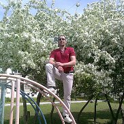 , 40 , 