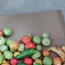 ���� Svetlanna, ������������ - ��������� 14 �������� 2024 � ������ ���� ����������