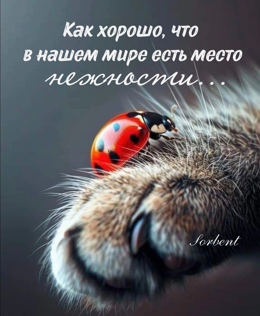 *T* - 23  2024  21:00