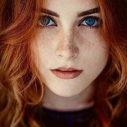 Shine, ������, 26 ���