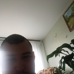 , 29, 