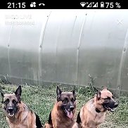 , , 