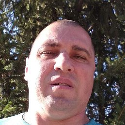 , , 51 