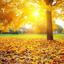 ���� �������, ������������ - ��������� 20 ������ 2023 � ������ ������ ��������