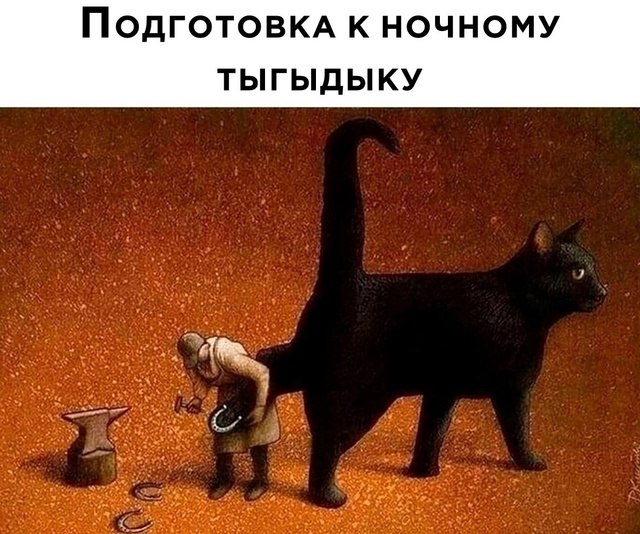  - 25  2024  21:05
