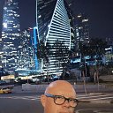 ���� �������, ���������, 52 ���� - ��������� 18 ������� 2024 � ������ ���� ����������
