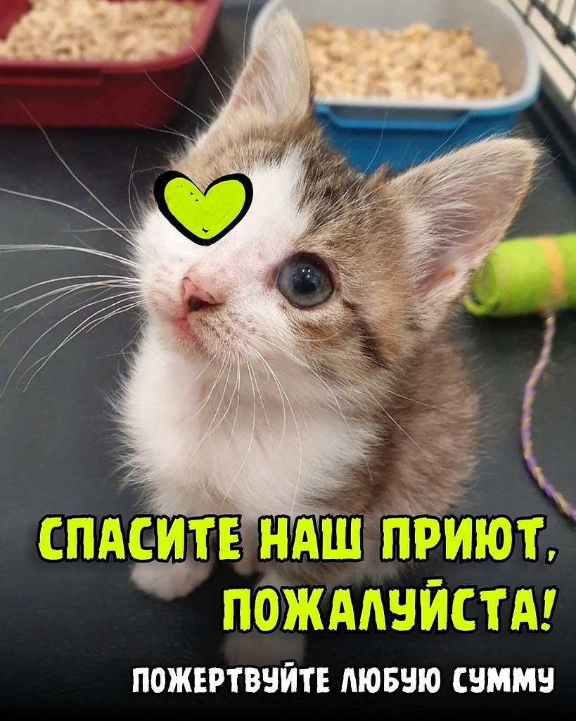   .  !  ,         ...