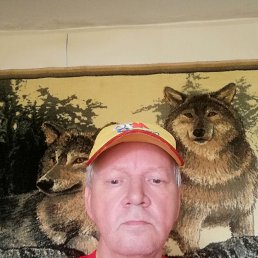 , 62, -