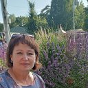 ���� ���������, �����������, 60 ��� - ��������� 21 ���� 2025